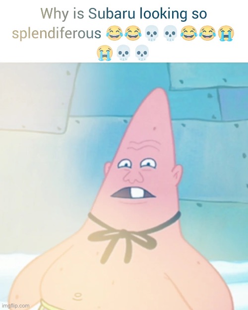 Subaru looking splendiferous | image tagged in subaru looking splendiferous | made w/ Imgflip meme maker