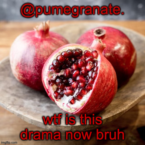 moderately lazy temp | wtf is this drama now bruh | image tagged in moderately lazy temp | made w/ Imgflip meme maker