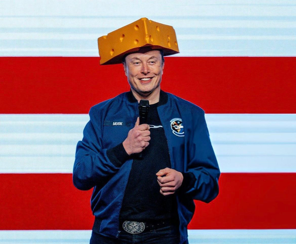 Cheesehead Elon Blank Meme Template