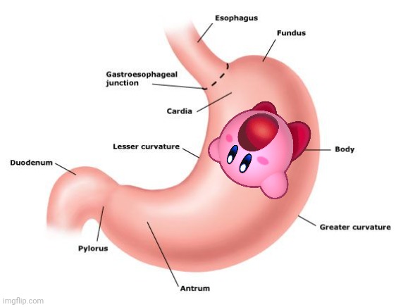 image tagged in kirby,stomach,yummy | made w/ Imgflip meme maker