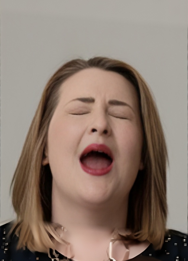 Sneezegasm Blank Meme Template