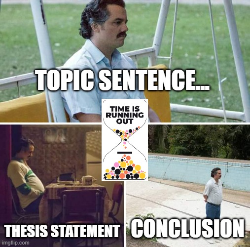 Sad Pablo Escobar | TOPIC SENTENCE... THESIS STATEMENT; CONCLUSION | image tagged in memes,sad pablo escobar | made w/ Imgflip meme maker