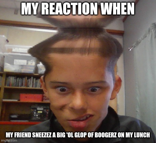 WORST LUNCH PERIOD EVR | MY REACTION WHEN; MY FRIEND SNEEZEZ A BIG 'OL GLOP OF BOOGERZ ON MY LUNCH | image tagged in what | made w/ Imgflip meme maker
