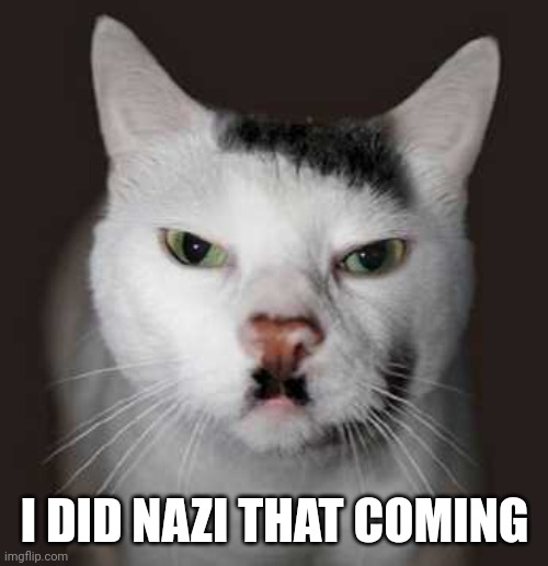 Nazi Cat | I DID NAZI THAT COMING | image tagged in nazi cat | made w/ Imgflip meme maker