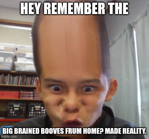 BIG BRAINED BOOVES | HEY REMEMBER THE; BIG BRAINED BOOVES FRUM HOME? MADE REALITY. | image tagged in big brain boove | made w/ Imgflip meme maker