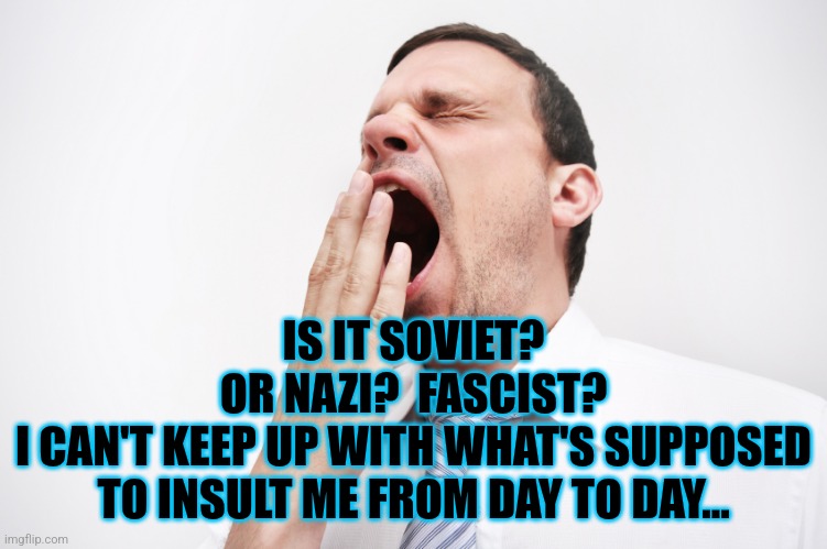 yawn | IS IT SOVIET?
OR NAZI?  FASCIST?
I CAN'T KEEP UP WITH WHAT'S SUPPOSED TO INSULT ME FROM DAY TO DAY... | image tagged in yawn | made w/ Imgflip meme maker