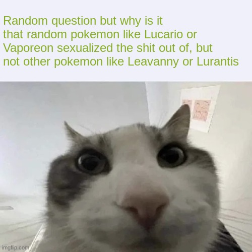 the real question is why are pokemon sexualized to begin with | made w/ Imgflip meme maker
