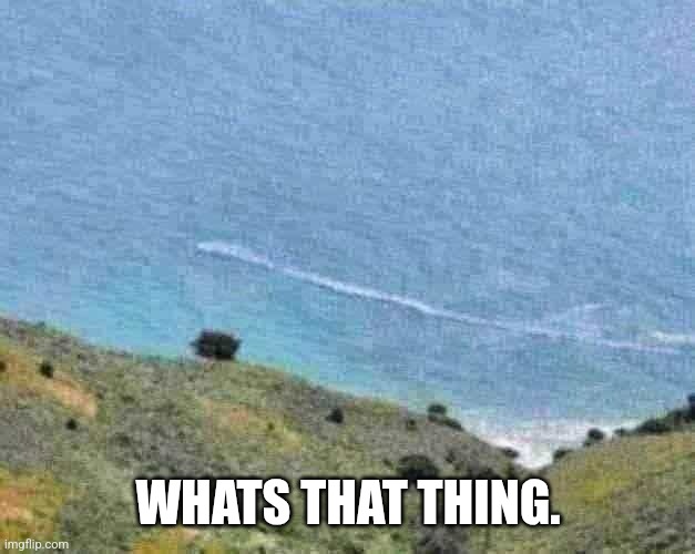 WHATS THAT THING. | made w/ Imgflip meme maker