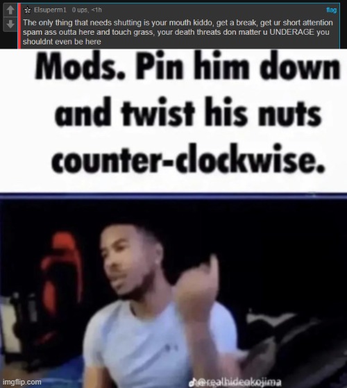 image tagged in mods pin him down and twist his nuts counter-clockwise | made w/ Imgflip meme maker