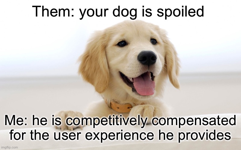 Cute dog idiot | Them: your dog is spoiled; Me: he is competitively compensated for the user experience he provides | image tagged in cute dog idiot | made w/ Imgflip meme maker