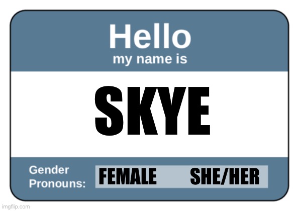 Name tag with pronouns | SKYE; FEMALE         SHE/HER | image tagged in name tag with pronouns | made w/ Imgflip meme maker