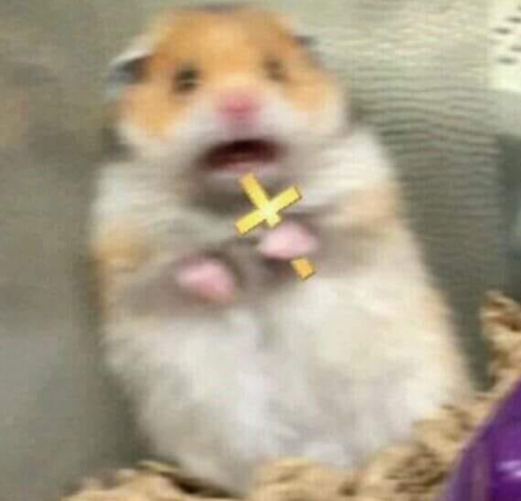 Hamster Blank Meme Template