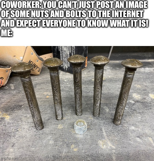 COWORKER: YOU CAN’T JUST POST AN IMAGE 
OF SOME NUTS AND BOLTS TO THE INTERNET 
AND EXPECT EVERYONE TO KNOW WHAT IT IS!


ME: | made w/ Imgflip meme maker