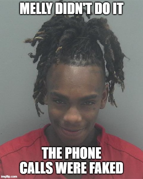 the phone calls were fake | image tagged in ynw melly,free melly | made w/ Imgflip meme maker