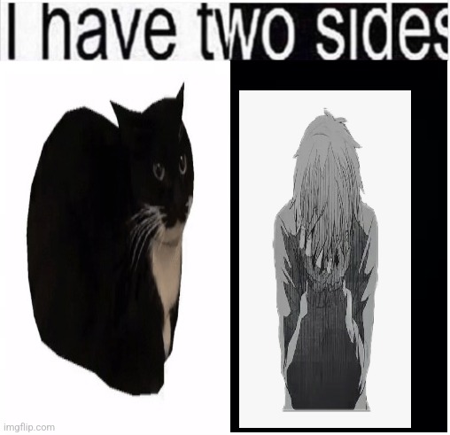 i have two sides | image tagged in i have two sides | made w/ Imgflip meme maker
