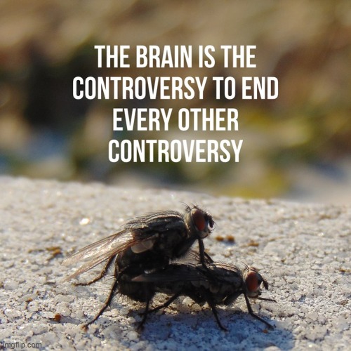 what the heck inspirobot | made w/ Imgflip meme maker