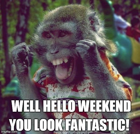 WELL HELLO WEEKEND YOU LOOK FANTASTIC! | image tagged in tgif,monkey | made w/ Imgflip meme maker