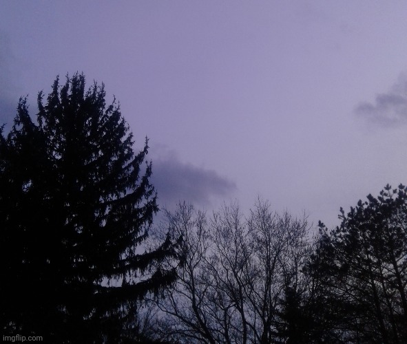 Photo i just now took. | made w/ Imgflip meme maker