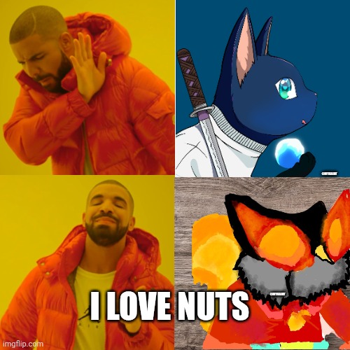 squirrel | @MYKAJAY; @MYKAJAY; I LOVE NUTS | image tagged in memes,drake hotline bling | made w/ Imgflip meme maker