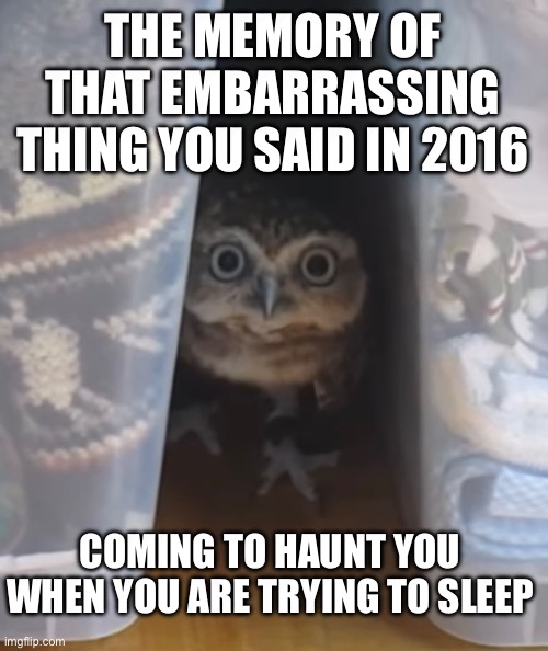 Embarrassing memories | THE MEMORY OF THAT EMBARRASSING THING YOU SAID IN 2016; COMING TO HAUNT YOU WHEN YOU ARE TRYING TO SLEEP | image tagged in funny,embarrassing,relatable memes | made w/ Imgflip meme maker