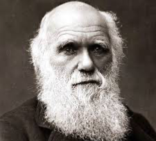 Charles Darwin Blank Meme Template