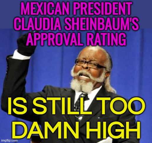 Six Months In, Claudia Sheinbaum Pardo's Approval Rating Remains Sky High | MEXICAN PRESIDENT
CLAUDIA SHEINBAUM'S
APPROVAL RATING; IS STILL TOO
DAMN HIGH | image tagged in memes,too damn high,mexico,breaking news,donald trump,tariffs | made w/ Imgflip meme maker
