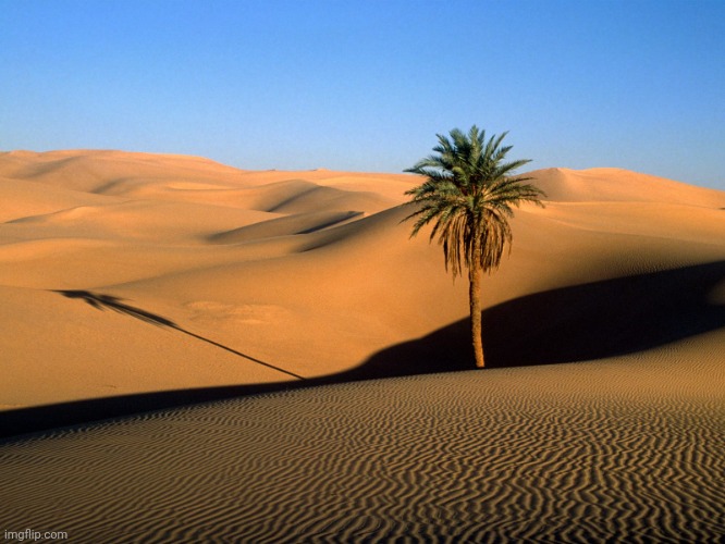 sahara desert | image tagged in sahara desert | made w/ Imgflip meme maker