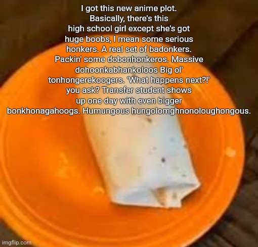JimmyHere Burrito | I got this new anime plot.
Basically, there's this high school girl except she's got huge boobs, I mean some serious honkers. A real set of badonkers. Packin' some dobonhonkeros. Massive dohoonkabhankoloos Big ol' tonhongerekoogers. 'What happens next?!' you ask? Transfer student shows up one day with even bigger bonkhonagahoogs. Humungous hungolomghnonoloughongous. | image tagged in jimmyhere burrito | made w/ Imgflip meme maker