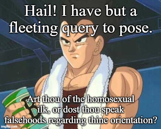 Hail! I have but a fleeting query to pose. Art thou of the homosexual ilk, or dost thou speak falsehoods regarding thine orientation? | made w/ Imgflip meme maker