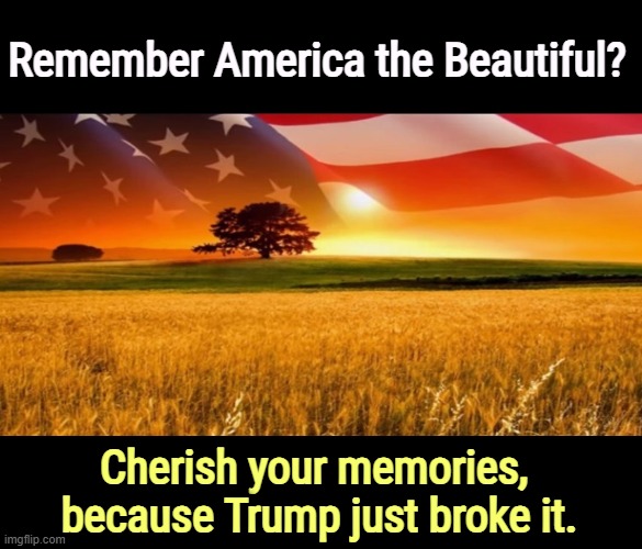 That @$$hole. | Remember America the Beautiful? Cherish your memories, 
because Trump just broke it. | image tagged in america,beautiful,democracy,trump,broken,idiot | made w/ Imgflip meme maker