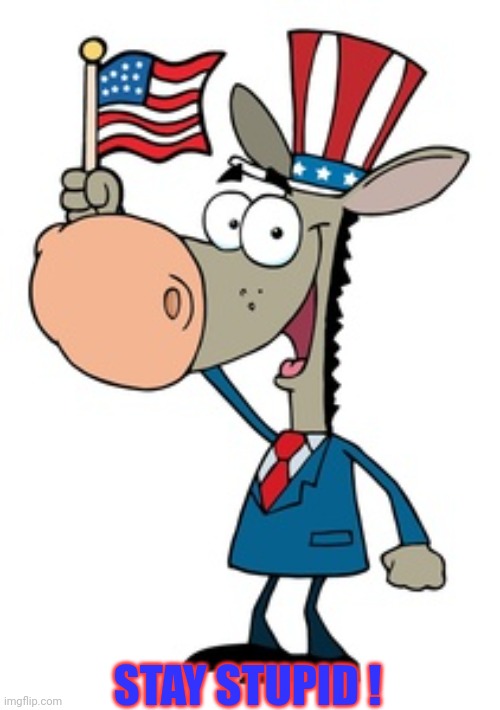 STUPID DEMOCRATS | STAY STUPID ! | image tagged in stupid democrats | made w/ Imgflip meme maker