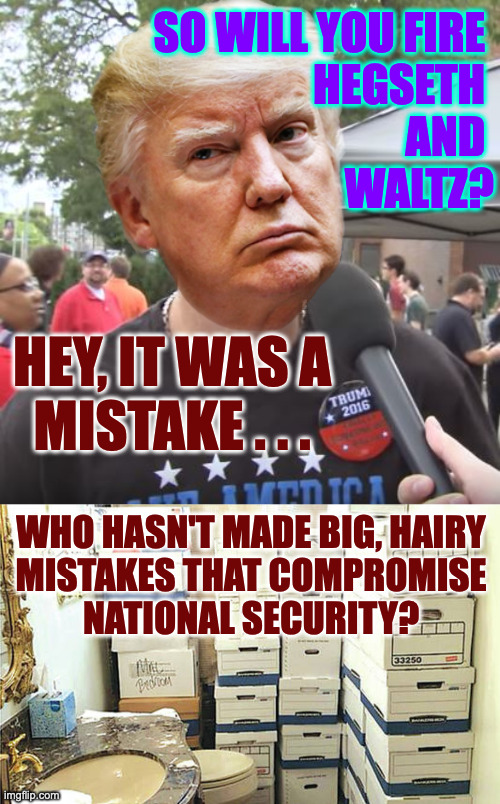 Maintaining standards. | SO WILL YOU FIRE 
HEGSETH 
AND 
WALTZ? HEY, IT WAS A
MISTAKE . . . WHO HASN'T MADE BIG, HAIRY
MISTAKES THAT COMPROMISE
NATIONAL SECURITY? | image tagged in trump supporter,memes,national security | made w/ Imgflip meme maker