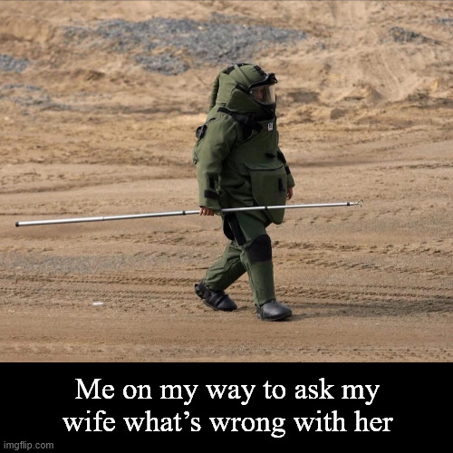 Me on my way to ask my wife what’s wrong with her | Me on my way to ask my wife what’s wrong with her | image tagged in memes | made w/ Imgflip meme maker