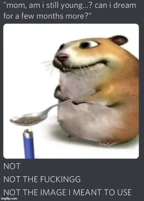 made w/ Imgflip meme maker