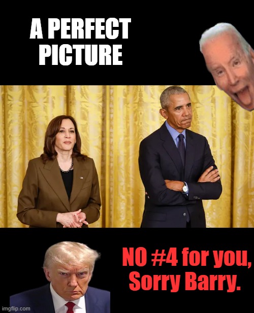 A PERFECT PICTURE; NO #4 for you, Sorry Barry. | made w/ Imgflip meme maker