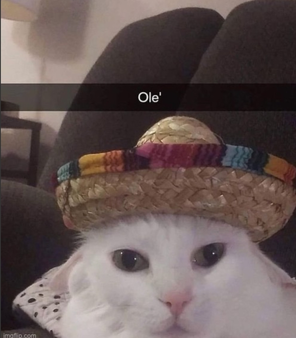 Ole' Blank Meme Template