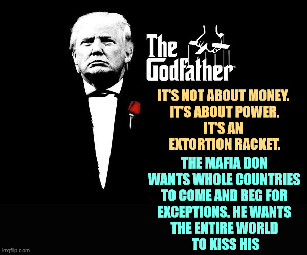 Mario Puzo is not an instruction manual. | IT'S NOT ABOUT MONEY. 
IT'S ABOUT POWER.
IT'S AN 
EXTORTION RACKET. THE MAFIA DON 
WANTS WHOLE COUNTRIES 
TO COME AND BEG FOR 
EXCEPTIONS. HE WANTS 
THE ENTIRE WORLD 
TO KISS HIS | image tagged in don trump corleone mafia boss,tariffs,money,power,extortion,mafia | made w/ Imgflip meme maker