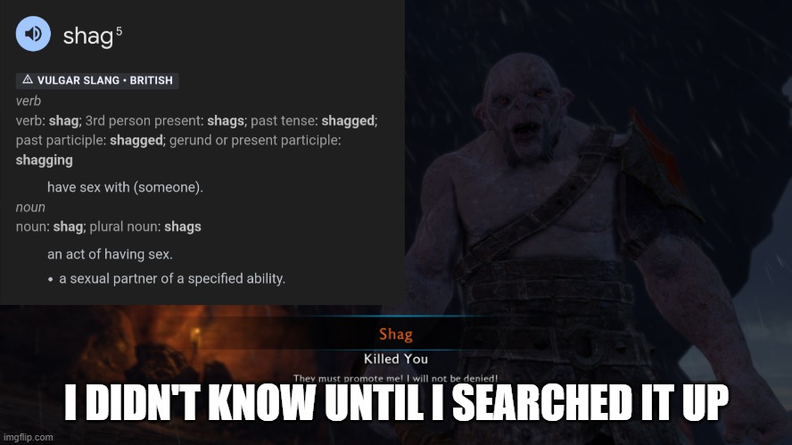 Shag | I DIDN'T KNOW UNTIL I SEARCHED IT UP | image tagged in shag,meme,shadow of war | made w/ Imgflip meme maker