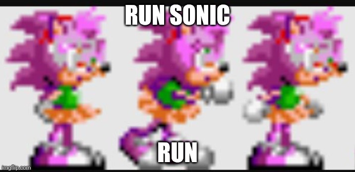 Run sonic, run | RUN SONIC; RUN | image tagged in run sonic run | made w/ Imgflip meme maker