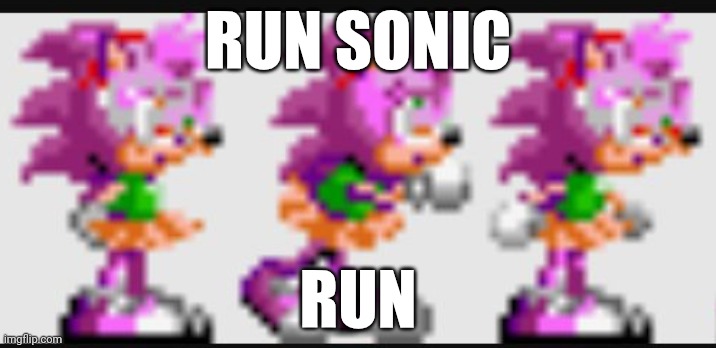 Run sonic, run | RUN SONIC; RUN | image tagged in run sonic run | made w/ Imgflip meme maker