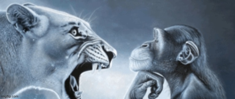 Monkey vs lion. | image tagged in monkey vs lion | made w/ Imgflip meme maker