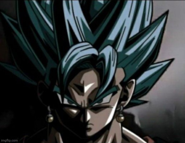Vegito prowler meme | image tagged in vegito prowler meme | made w/ Imgflip meme maker