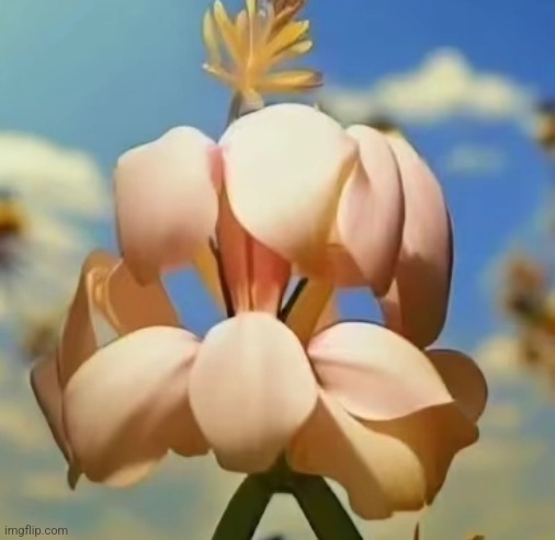 Flower | made w/ Imgflip meme maker