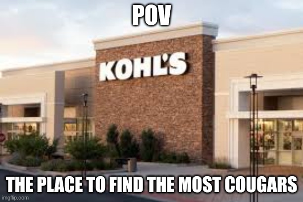 POV cougars | POV; THE PLACE TO FIND THE MOST COUGARS | image tagged in facts | made w/ Imgflip meme maker
