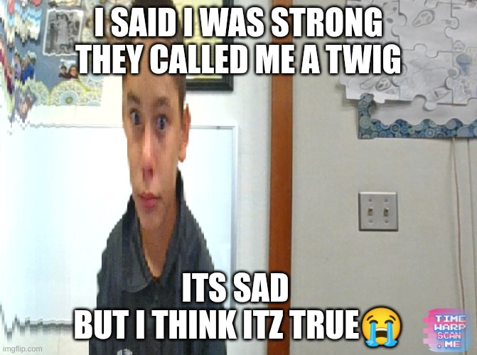 why they alwayz right? | I SAID I WAS STRONG
THEY CALLED ME A TWIG; ITS SAD 
BUT I THINK ITZ TRUE😭 | image tagged in time warp memes | made w/ Imgflip meme maker