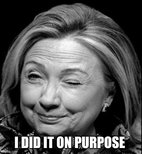 Hillary wink | I DID IT ON PURPOSE | image tagged in hillary wink | made w/ Imgflip meme maker