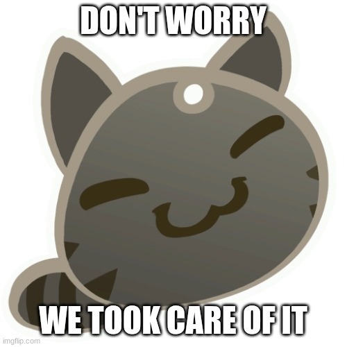 Tabby slime | DON'T WORRY WE TOOK CARE OF IT | image tagged in tabby slime | made w/ Imgflip meme maker
