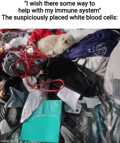 "I wish there some way to help with my immune system"
The suspiciously placed white blood cells: | made w/ Imgflip meme maker