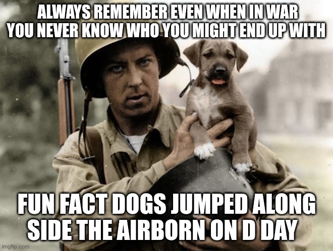 repost this please | ALWAYS REMEMBER EVEN WHEN IN WAR YOU NEVER KNOW WHO YOU MIGHT END UP WITH; FUN FACT DOGS JUMPED ALONG SIDE THE AIRBORN ON D DAY | image tagged in us soldiers | made w/ Imgflip meme maker