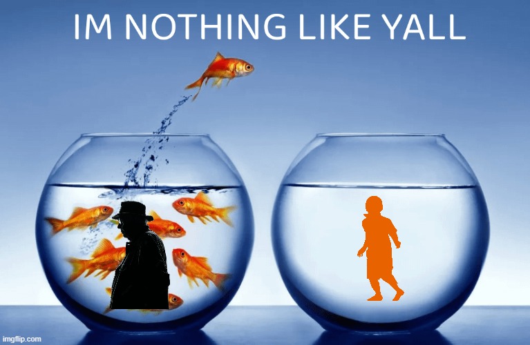 I’m nothin like yall | image tagged in i m nothin like yall | made w/ Imgflip meme maker
